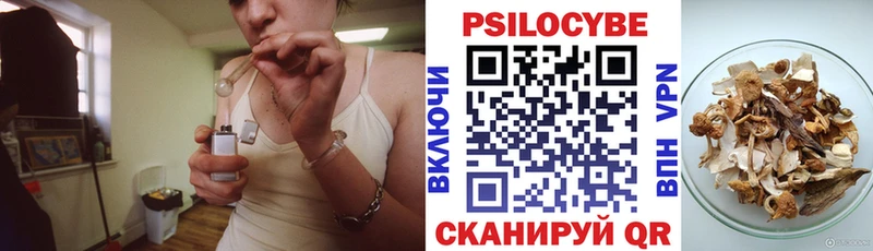Псилоцибиновые грибы Psilocybine cubensis  Выборг 